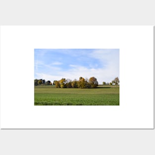 Group of trees in autumn Posters and Art